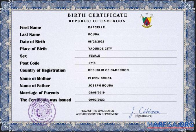 Blank Cameroon vital record birth certificate PSD template